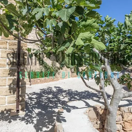 Tatil Evi Trullo Nonno Tore *